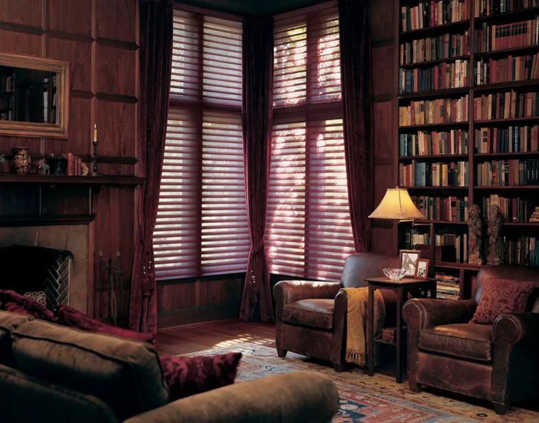 Silhouette window shadings in a living room
